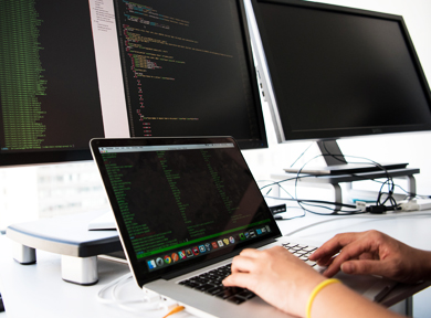 IT and Telecommunications